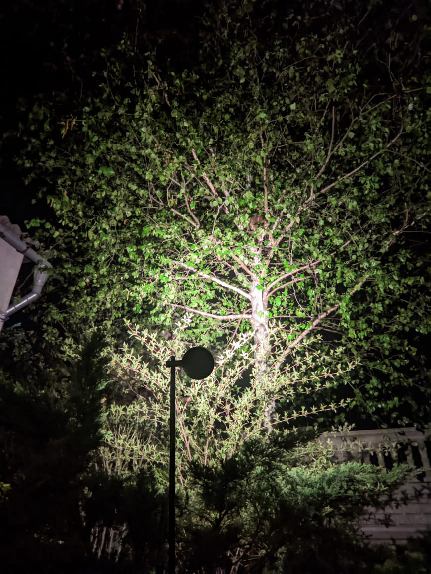 Pole Spotlight � - Image 5