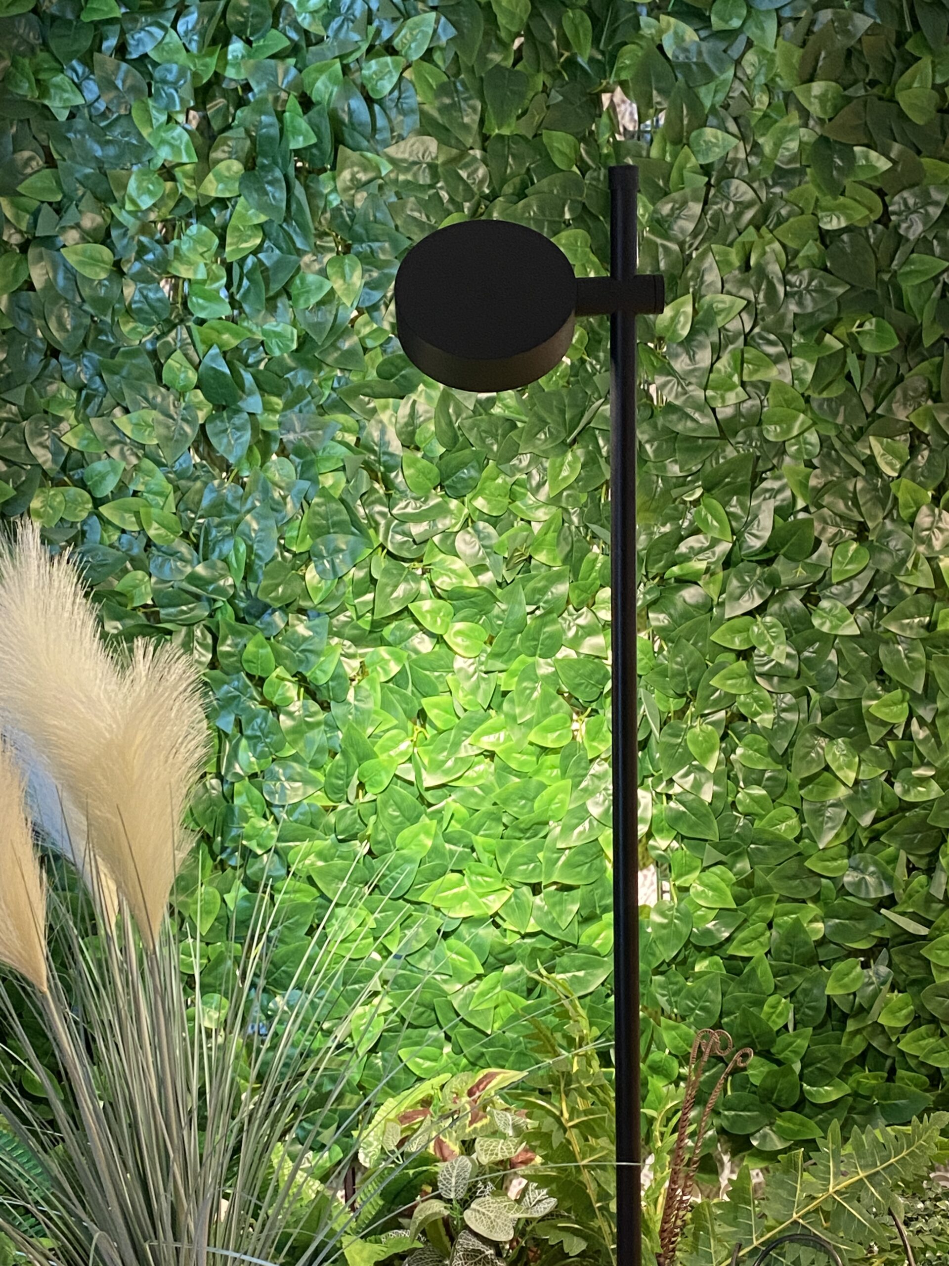 Pole Spotlight � - Image 3